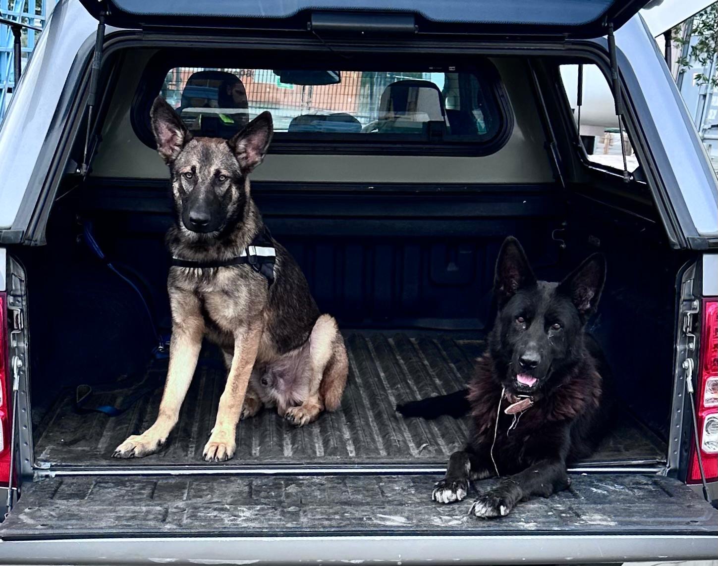Rapid Deployment Team